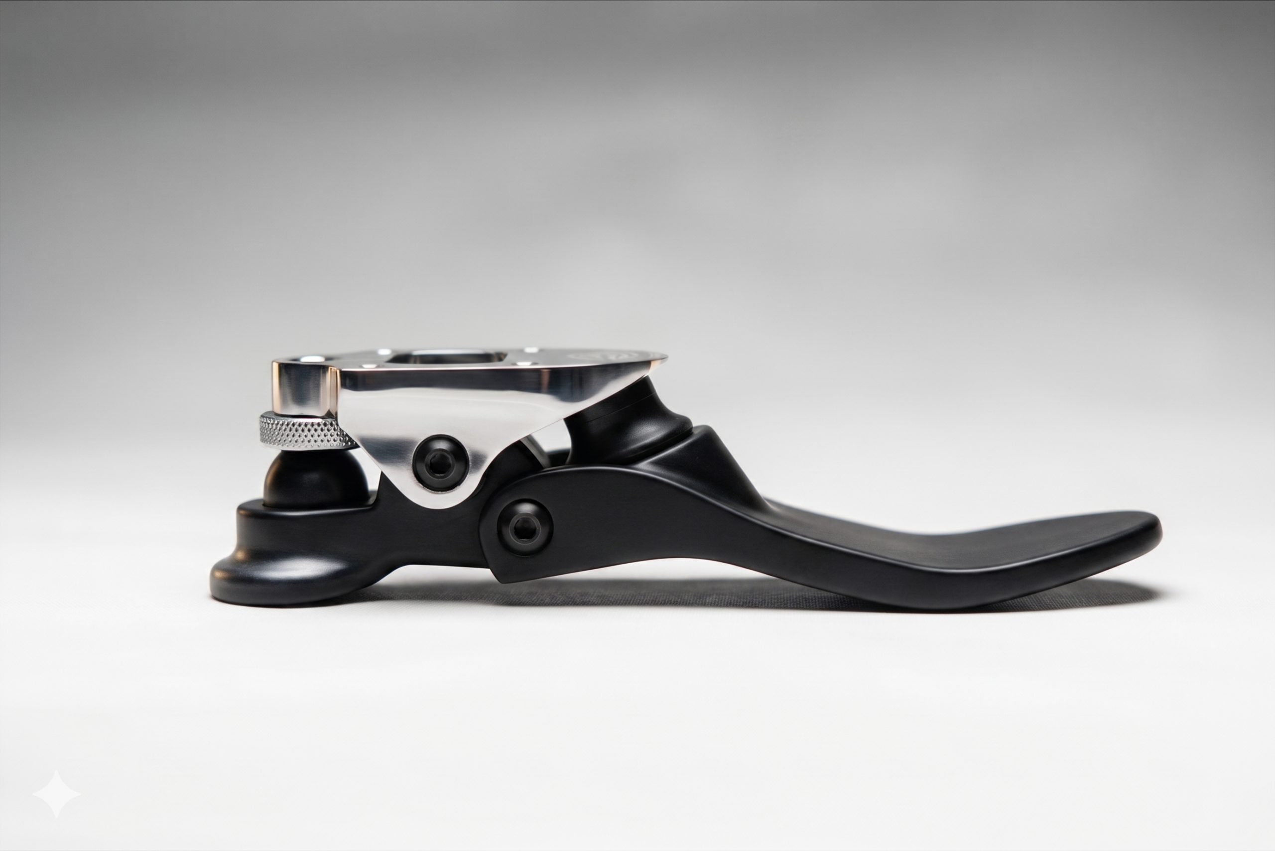 Arian prosthetic foot